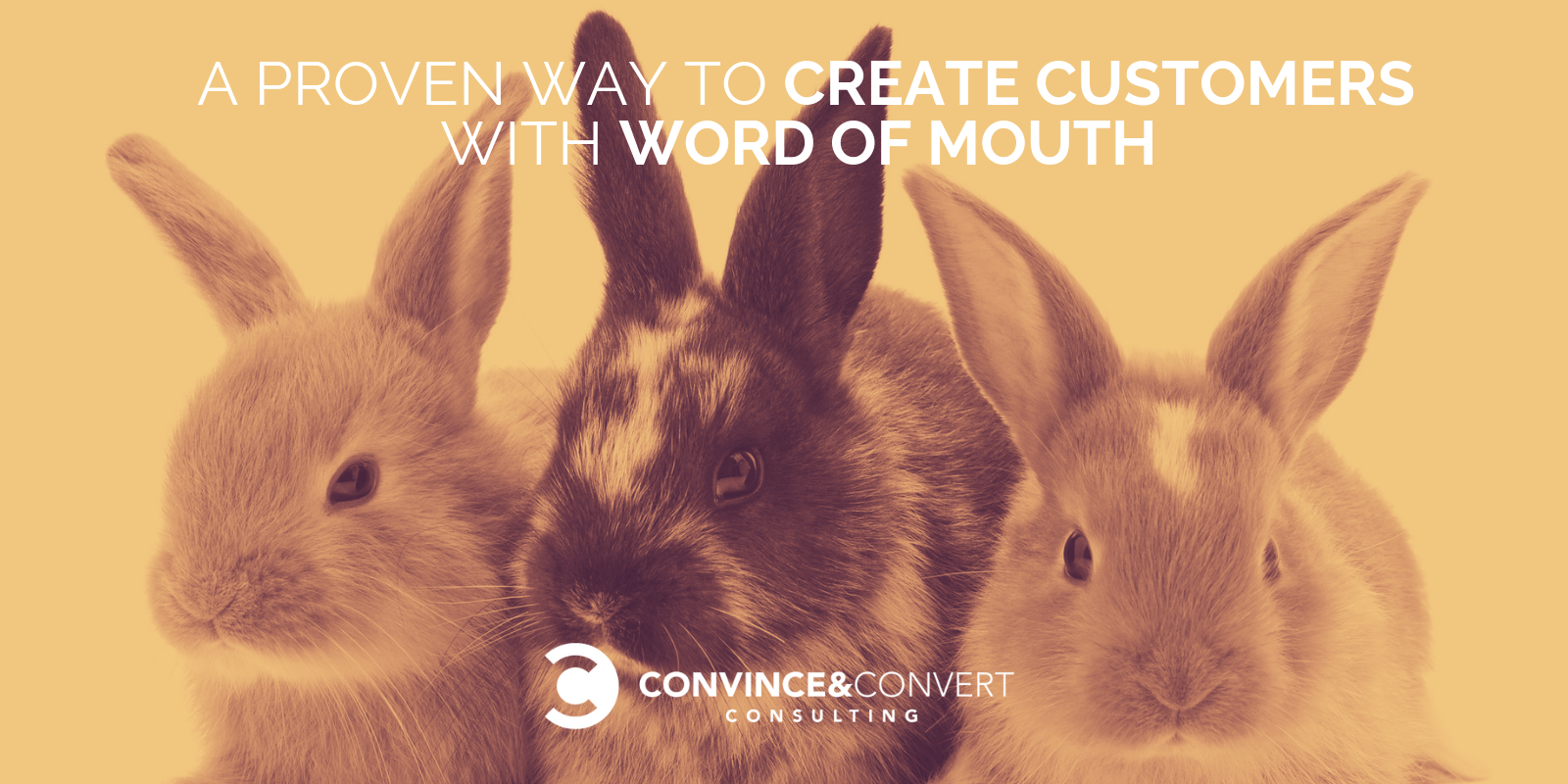 create customers word of mouth